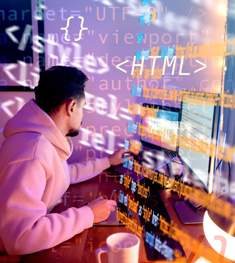 Web-Developers-in-Zimex Apex