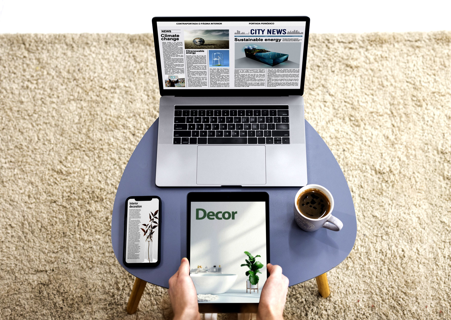 Responsive-Web-development-Zimex-Apex