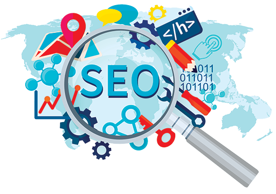SEO-Zimex-Apex Company