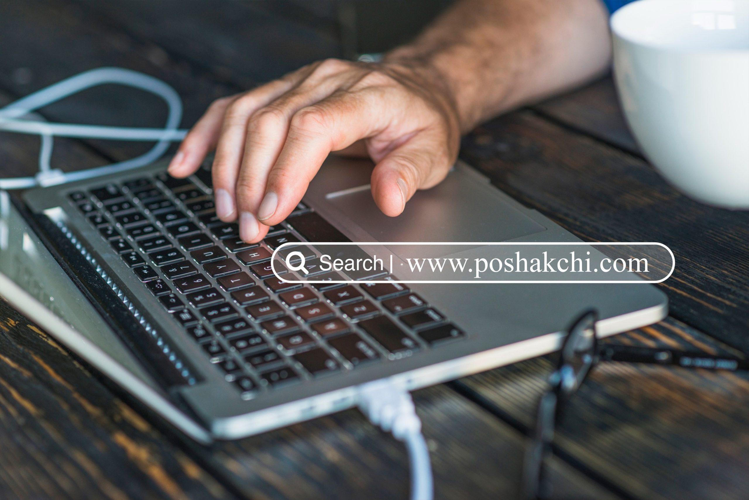 poshakchi banner zimex apex