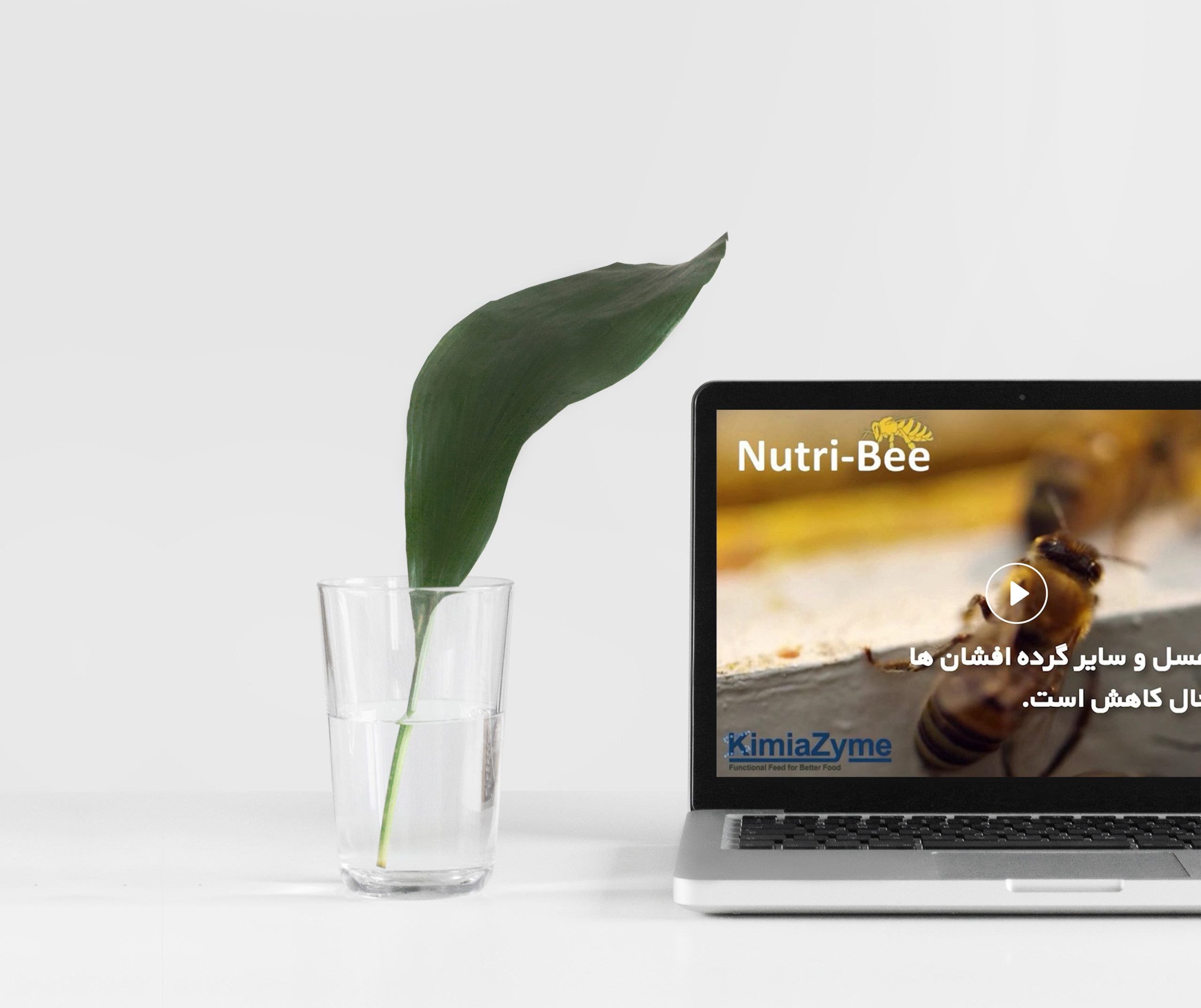 kimiazyme scientific videos by zimex apex