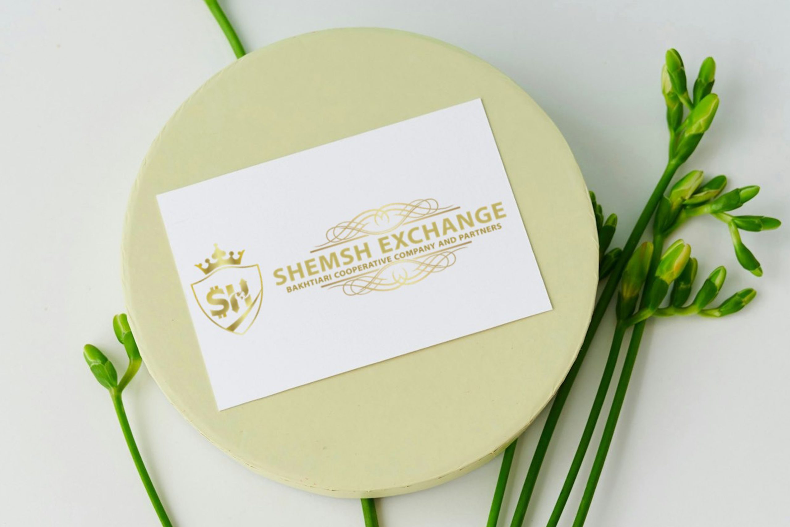 picture 4 shemsh exchange by zimex apex