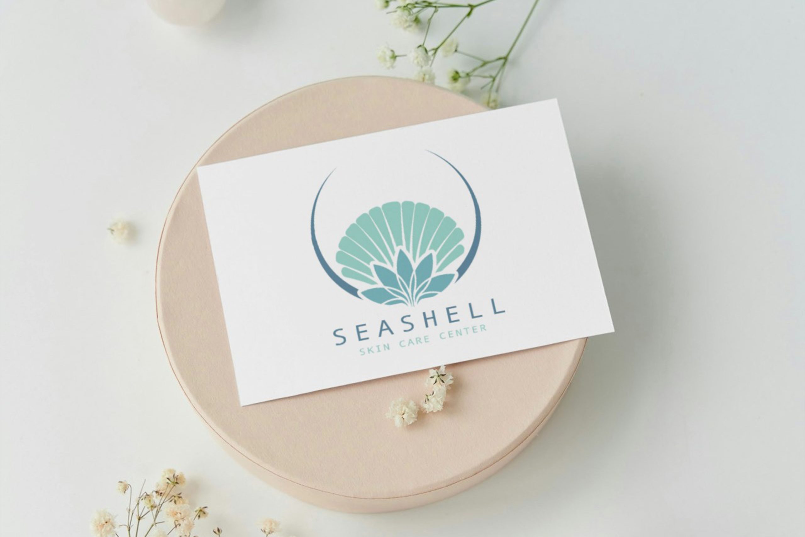 picture 4 seashell by zimex apex
