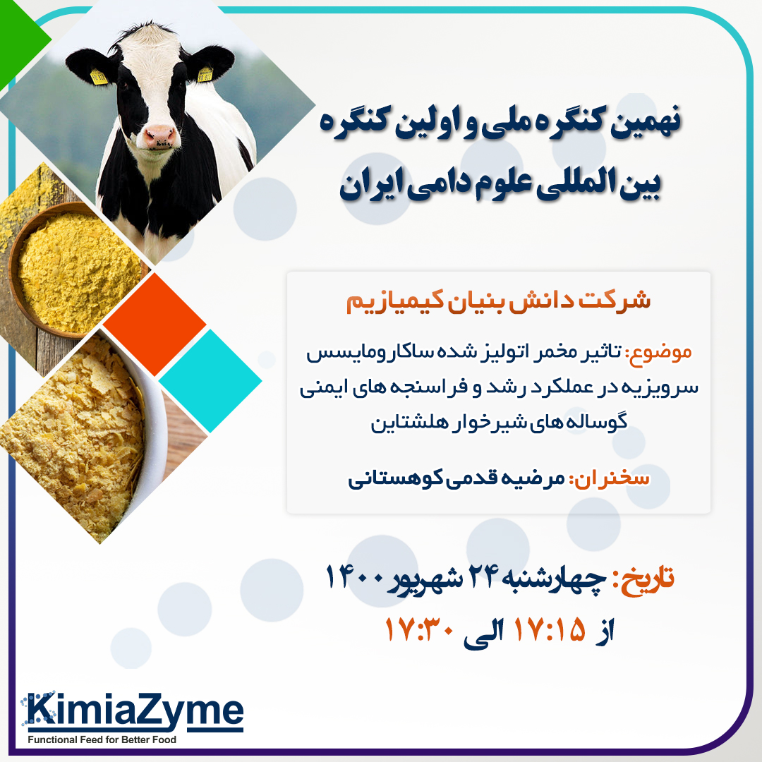 banner design kimizyme by zimex apex